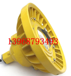 RLB106LED防爆泛光灯