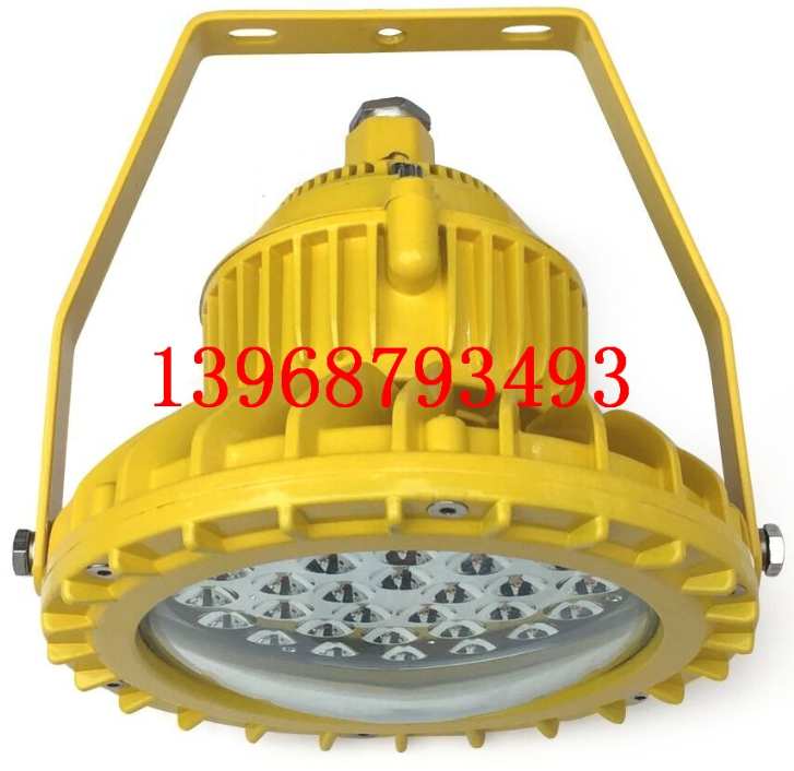 RFBL156LED防爆泛光灯 80/100/120W