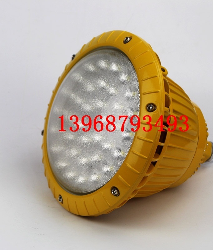 BAD85LED防爆泛光灯 20~100W