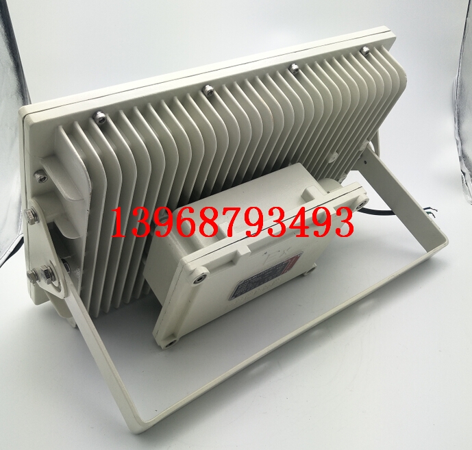 RLB97LED防爆投光灯30/40/50/60/70w