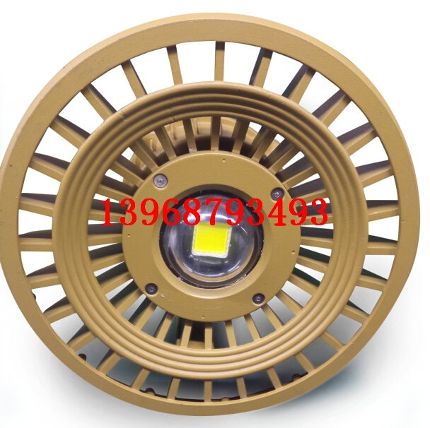 RFBL107LED防爆泛光灯