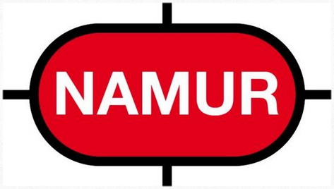 NAMUR输出的工作原理