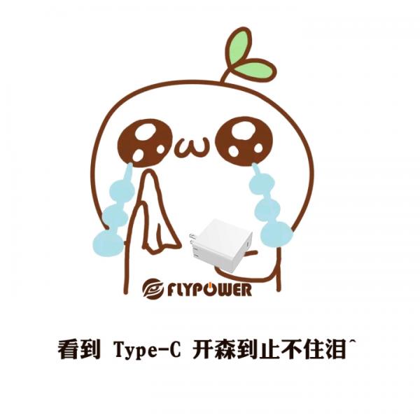 深圳哪家电源厂可以订做TYPE-C充电器
