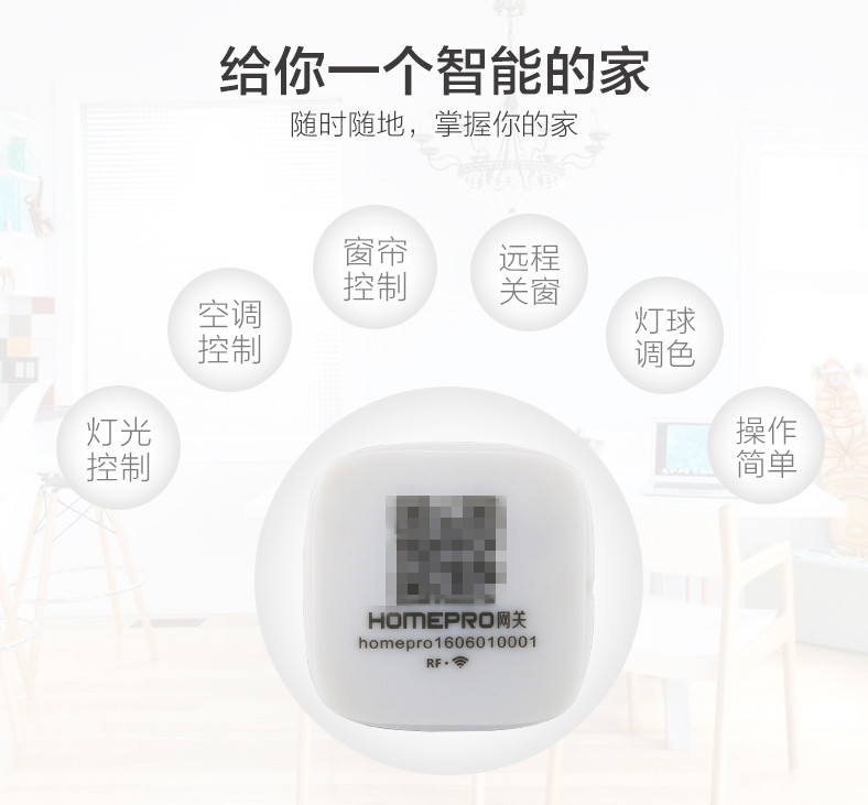 1531117035844484.jpg 2_副本.jpg