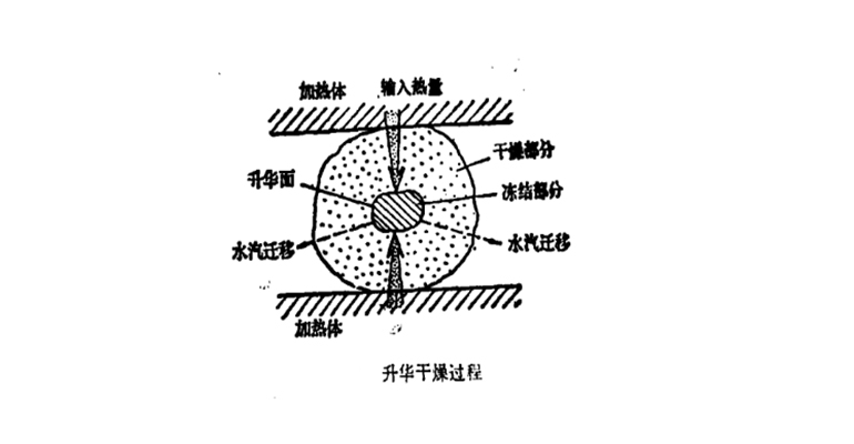 旋片真空泵在食品的真空冷冻升华干燥中的应用实例