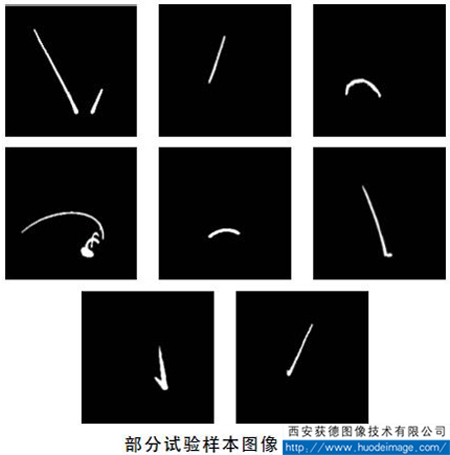 部分试验样本图像.jpg