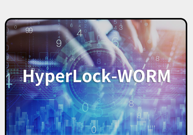 HyperLock-WORM内页.jpg