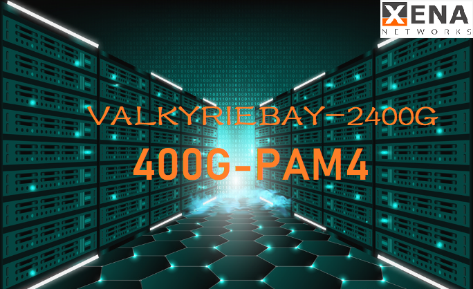 400G网络测试仪ValkyrieBay