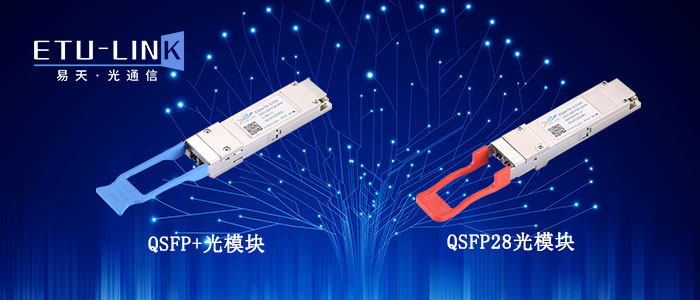 qsfp+qsfp28.jpg