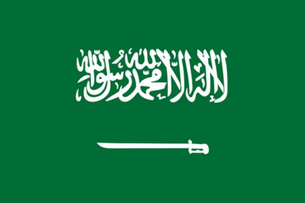沙特国旗.png