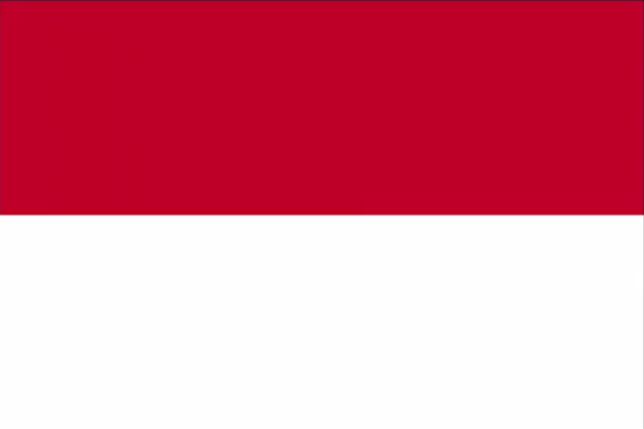 印尼国旗.png