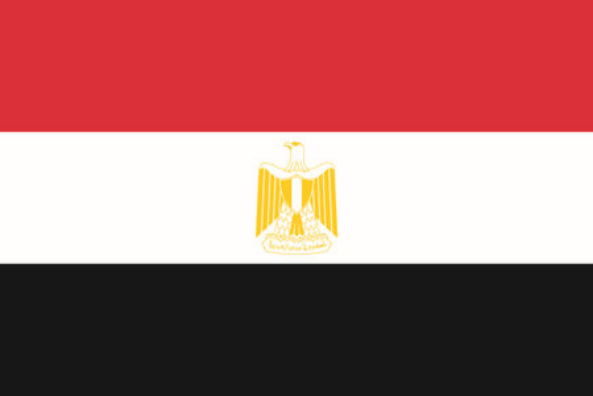 埃及国旗.png