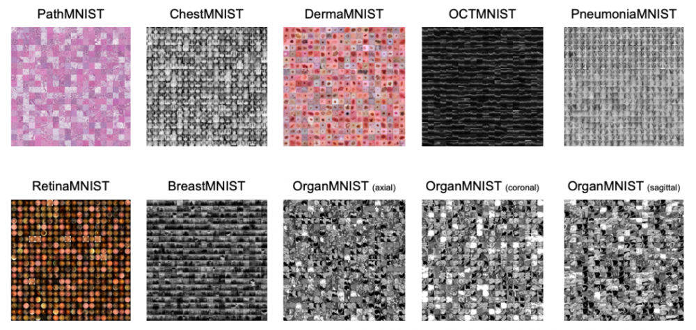 上海交****布 MedMNIST 医学图像分析数据集 & 新基准