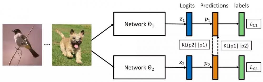 深度互学习-Deep Mutual Learning：三人行必有我师