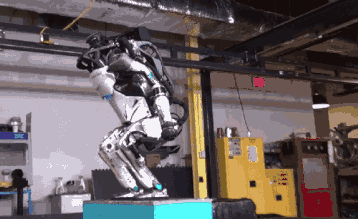 8.gif
