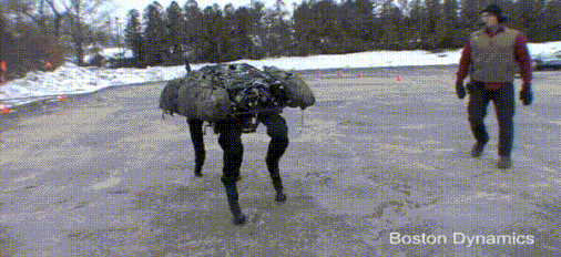 7.gif