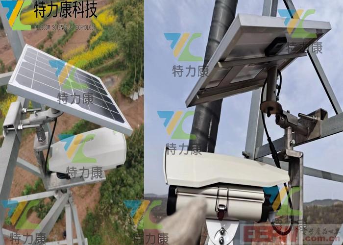 图像监拍2.jpg