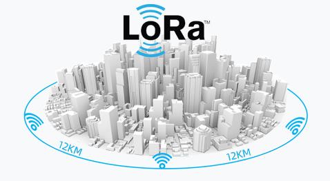 lora.jpg