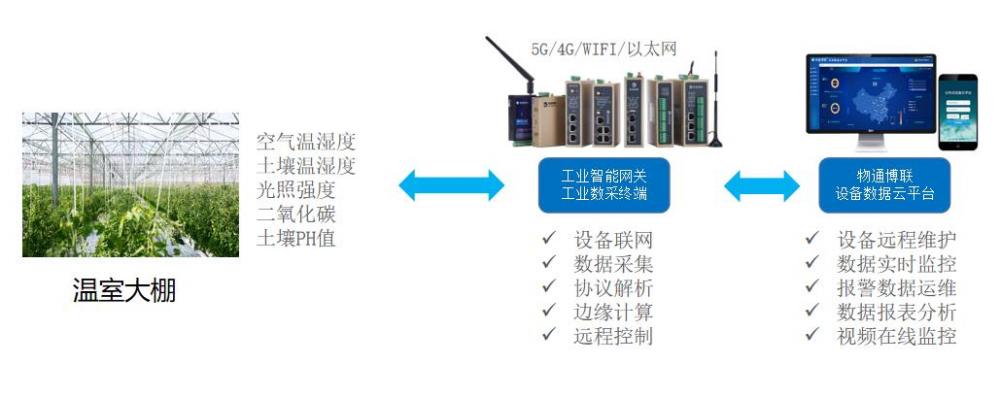 智慧农业环境实时监测，为农业生产提供多元化数据