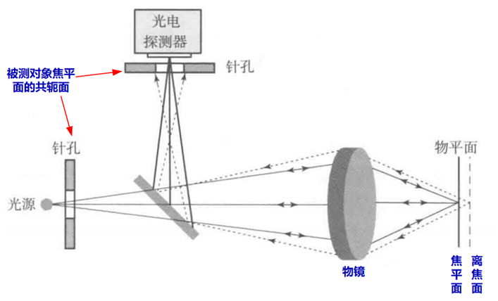 共聚焦显微镜3D测量，让图像形态细节更清晰！