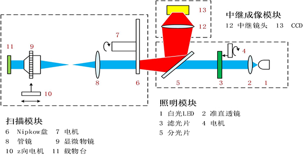 为什么激光共聚焦显微镜成像质量更好？