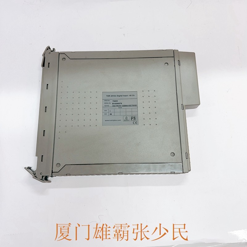 ICS TRIPLEX T8403 实时值可以在那里双向镜像