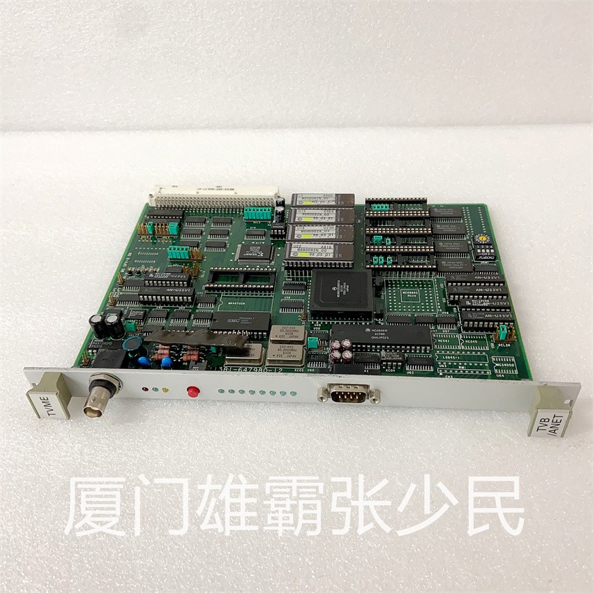 TVB-1202-1ANET 1381-647980-12  关键材料面临的挑战