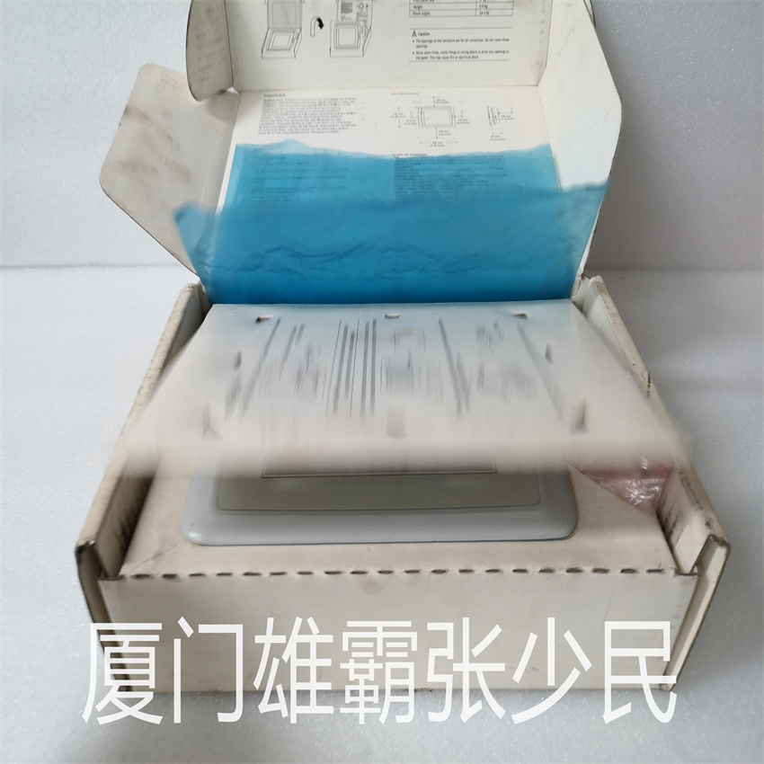 PP825A 3BSE042240R3  采用带延迟分支和分支预测