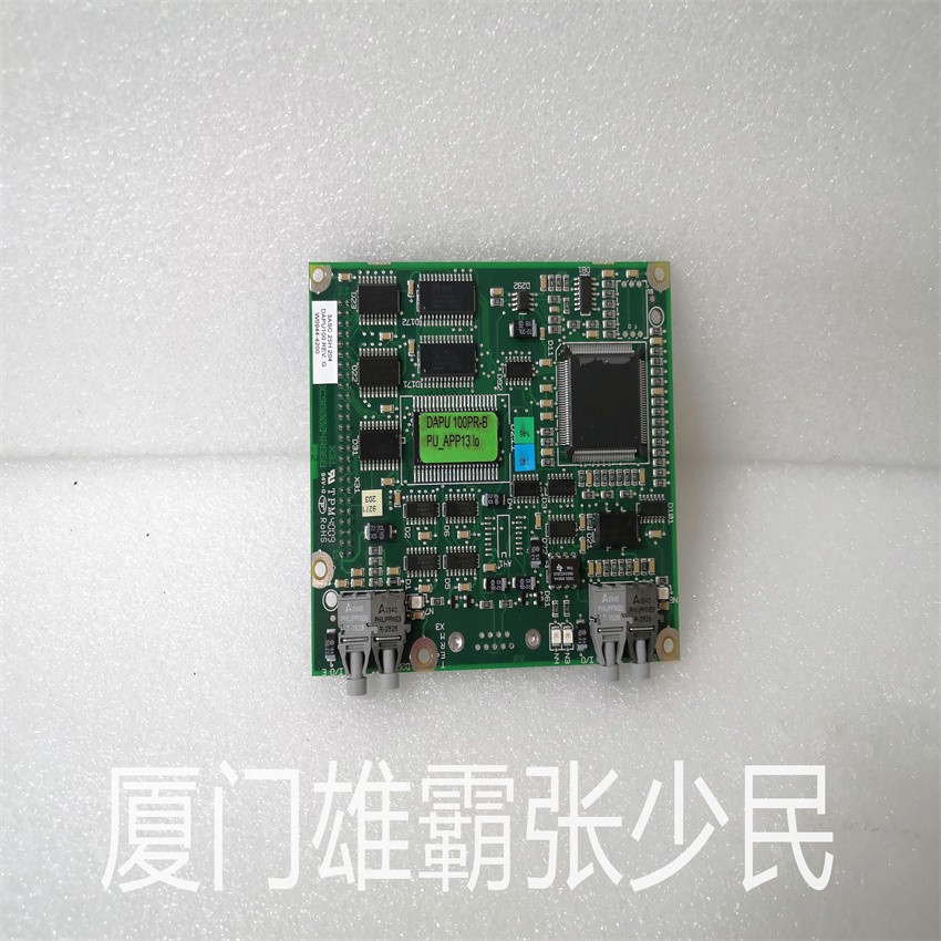 3ASC25H204 DAPU100 固定间隔测量模拟信号