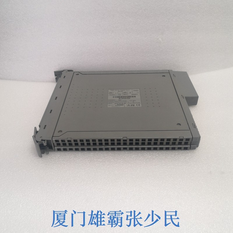 T8403 可信TMR 24Vdc数字输入模块