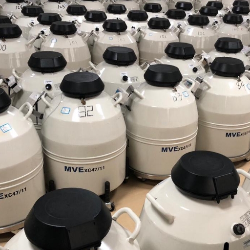 低温实验室中，查特液氮罐如何确保安全操作？