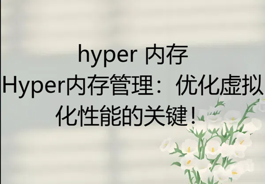 hyper 内存，Hyper内存管理：优化虚拟化性能的关键！