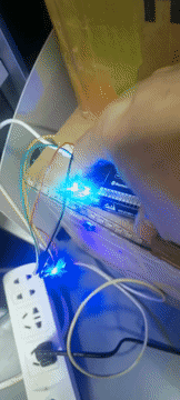 WS8623亮灯.gif